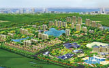 恒大地产|恒大地产集团董事长许家印|河南楼市网地产人生