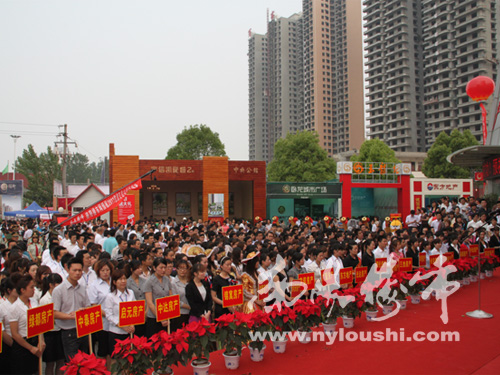 南阳楼市网现场直播