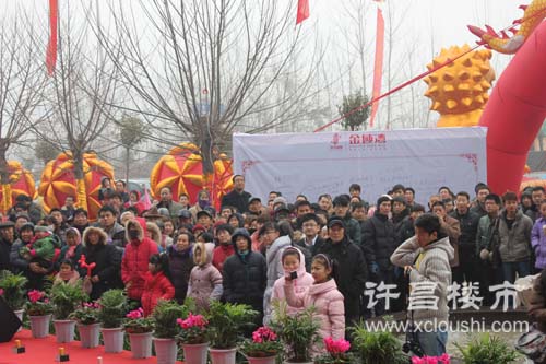 许昌楼市网现场直播